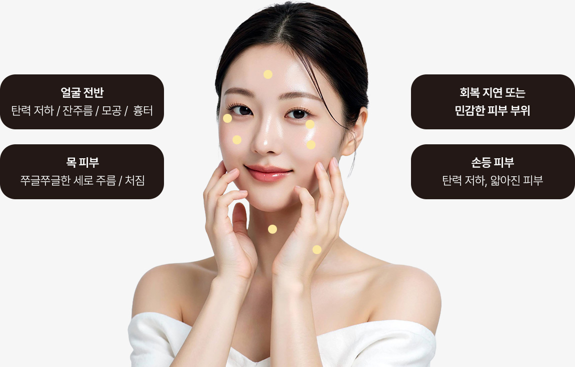 얼굴 전반 - 탄력 저하 / 잔주름 / 모공 /  흉터 | 회복 지연 또는 민감한 피부 부위 | 목 피부 - 쭈글쭈글한 세로 주름 / 처짐 | 손등 피부 - 탄력 저하, 얇아진 피부